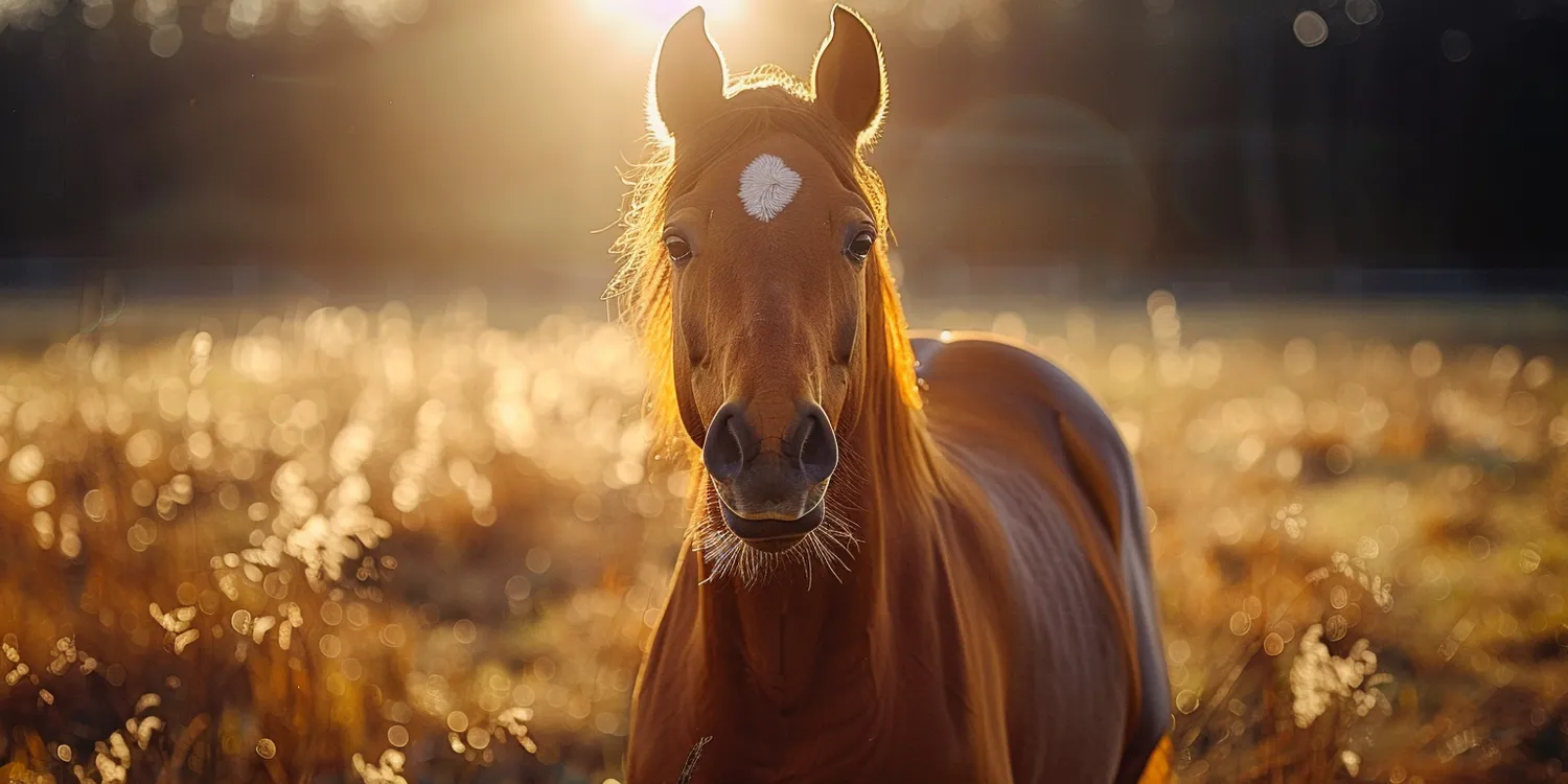 Trawa z rolki ile kosztuje?