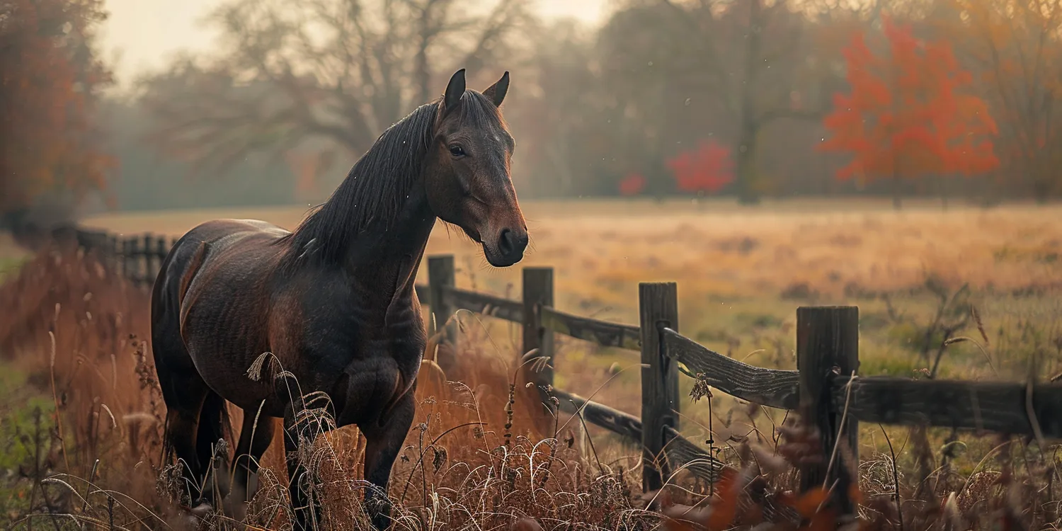 Jak długo palone są zwłoki zwierząt w krematorium?