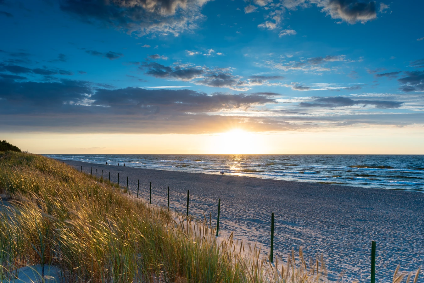 Trawa z rolki kiedy można chodzić?